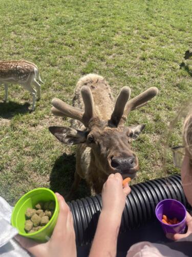 495926578_719078617132319_1215673565454889904_n