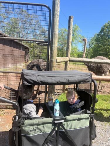 496768376_719078470465667_8920781907256483390_n